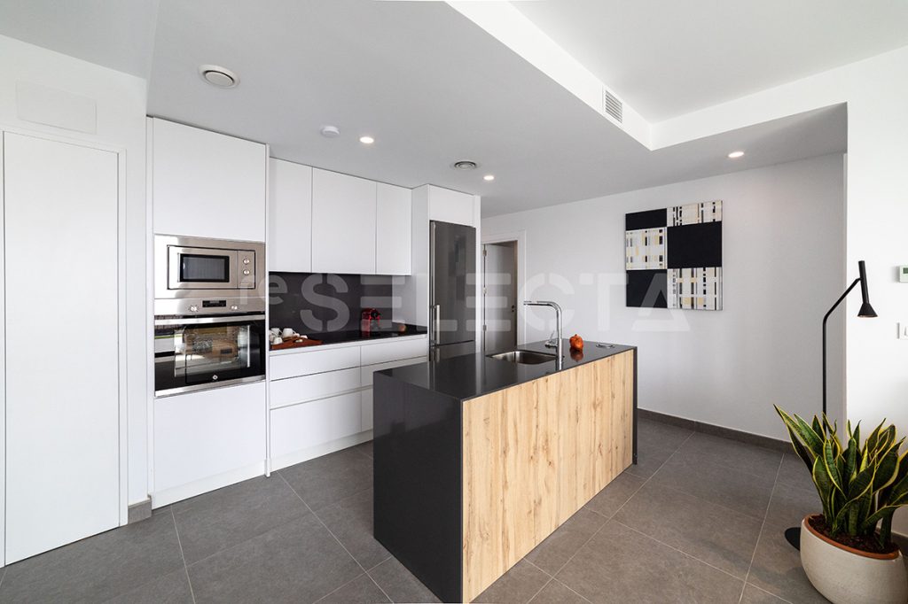 Modern home with basement, terraces and private garden