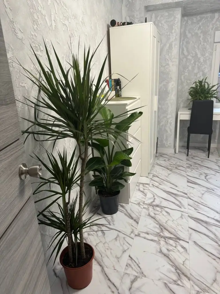Investment Apartment Valencia Mislata | 10% ROI, 5 Bedrooms